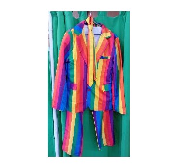 -DISFRAZ TRAJE COMPLETO ARCOIRIS L