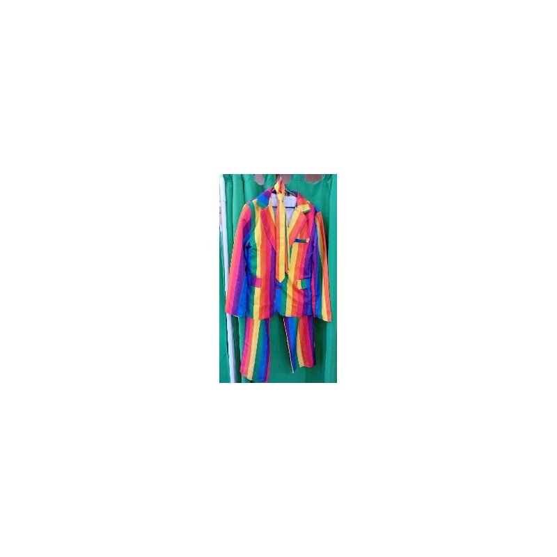 -DISFRAZ TRAJE COMPLETO ARCOIRIS L