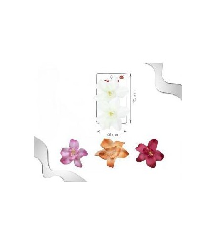 -PINZA PELO CON ORQUIDEAS