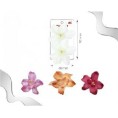 -PINZA PELO CON ORQUIDEAS