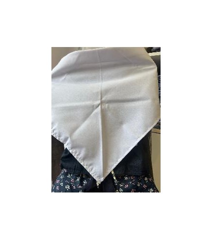 -PAÑUELO REGIONAL BEIGE G