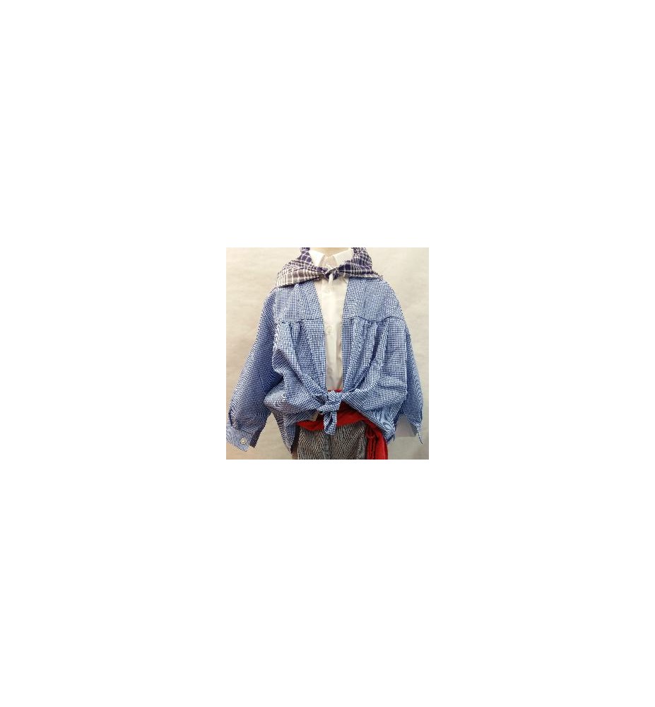 BLUSON CUADROS AZULES L