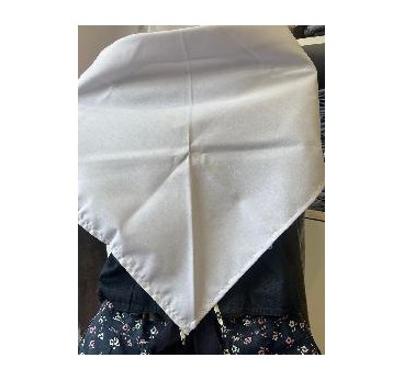 -PAÑUELO REGIONAL BLANCO P