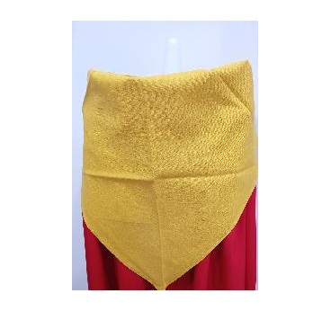 -PAÑUELO REGIONAL MOSTAZA M