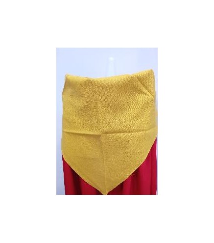 -PAÑUELO REGIONAL MOSTAZA M