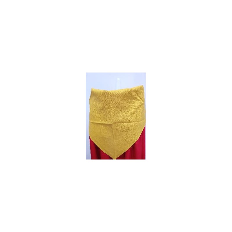 -PAÑUELO REGIONAL MOSTAZA P