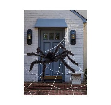 -ARAÑA Y TELARAÑA GIGANTE