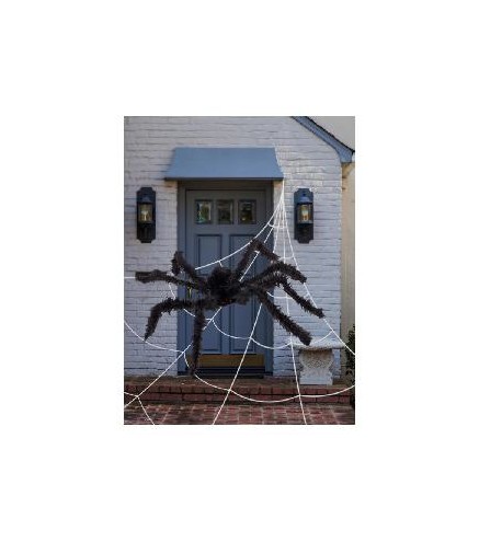 -ARAÑA Y TELARAÑA GIGANTE