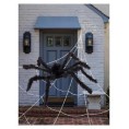 -ARAÑA Y TELARAÑA GIGANTE