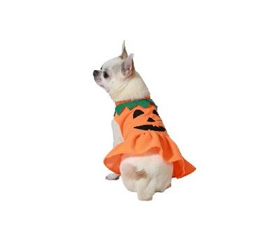 -DISFRAZ PARA MASCOTA CALABAZA S