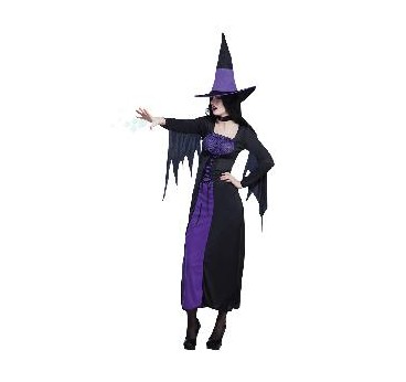 -DISFRAZ BRUJA PURPURA 40-42