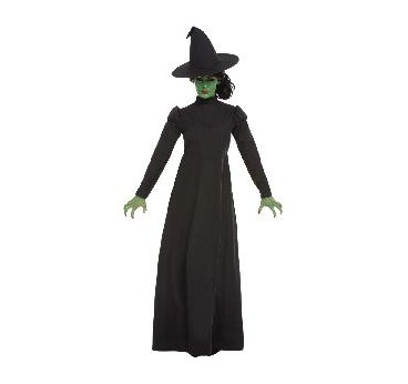 -DISFRAZ BRUJA MALVADA 8-10