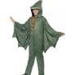 -DISFRAZ PERODACTILO T 7-9