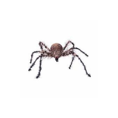 -ARAÑA CEBRA PEQUEÑA MARRON