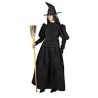 -DISFRAZ BRUJA CLASICA 48