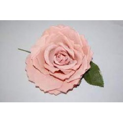 FLOR ROSA MADEIRA TEÑIDA MAQUILLAJE 13*13