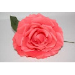 FLOR ROSA MADEIRA TEÑIDA SALMON 13*13