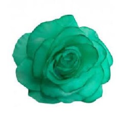 FLOR ROSA MADEIRA TEÑIDA VERDE MENTA 13*13