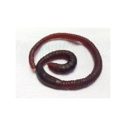 -LOMBRIZ GOMA GRANDE