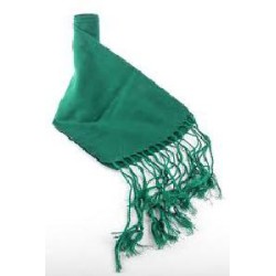 FAJIN-GUERRIKO VERDE 5*12