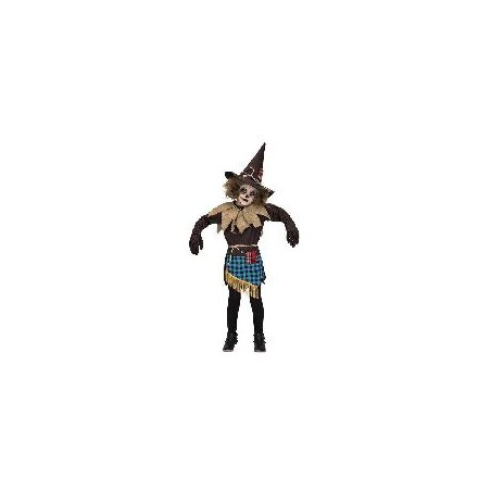 -DISFRAZ ESPANTAPAJAROS 5-6