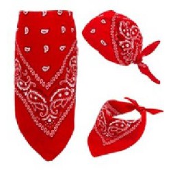 pañuelo bandana rojo
