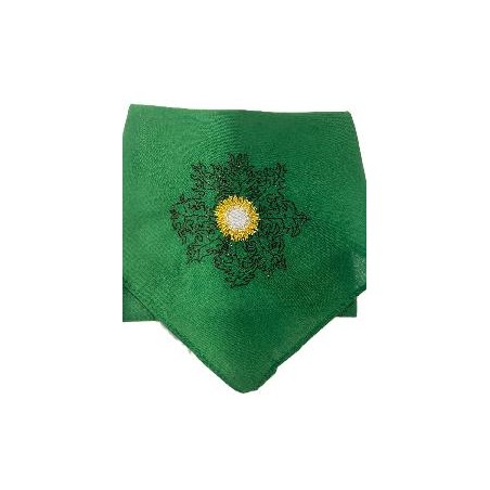 -PAÑUELO REGIONAL VERDE EGUZKILORE