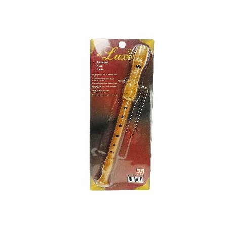 -FLAUTA CON METODO Y LIMPIADOR