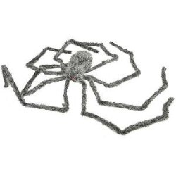 -ARAÑA PELUDA GIGANTE