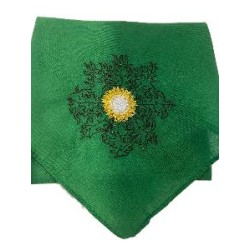 -PAÑUELO REGIONAL VERDE EGUZKILORE