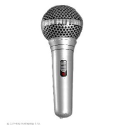 -MICROFONO INFLABLE 25 CM