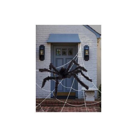 -ARAÑA Y TELARAÑA GIGANTE