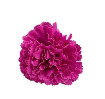 DIADEMA ÁNGEL