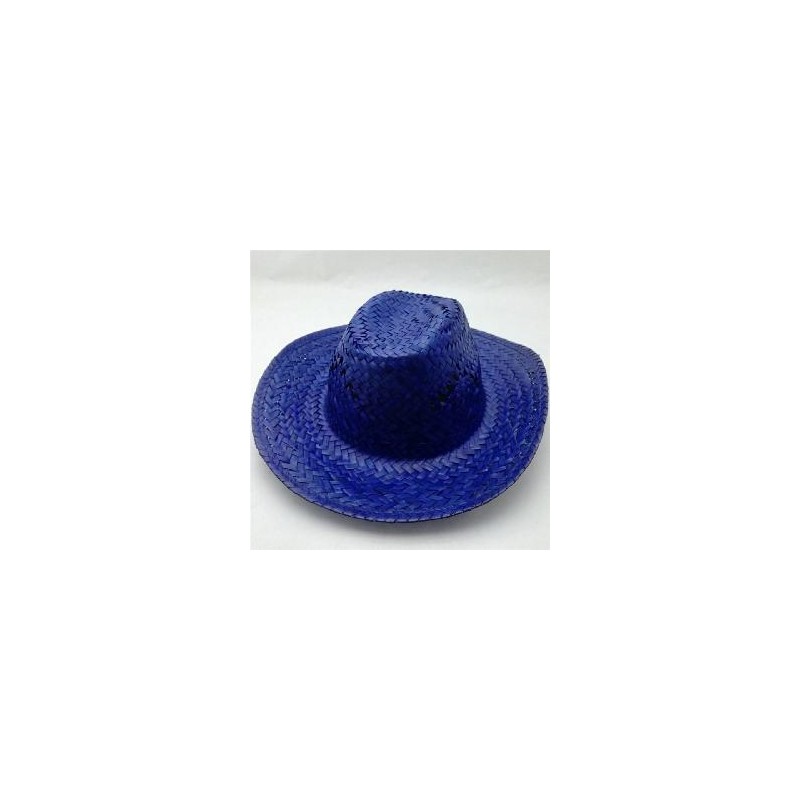 -SOMBRERO TEJANO PAJA COLORES