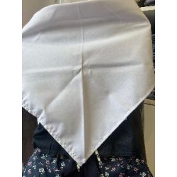 -PAÑUELO REGIONAL BLANCO P