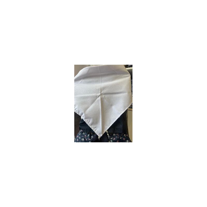 -PAÑUELO REGIONAL BLANCO P