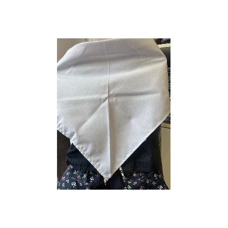 -PAÑUELO REGIONAL BLANCO P