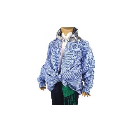 -BLUSON CUADROS AZULES 18