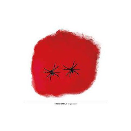 -BOLSA TELARAÑAS ROJA 60GR