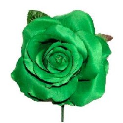 FLOR FLAMENCA VARIOS