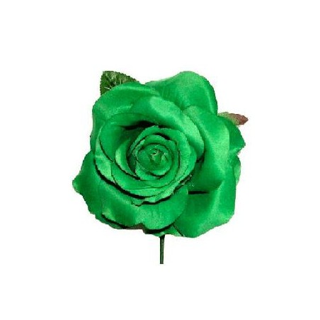 FLOR FLAMENCA VARIOS