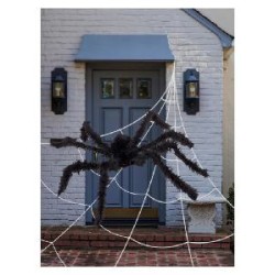 -ARAÑA Y TELARAÑA GIGANTE