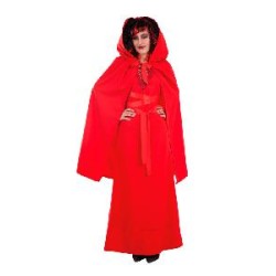 -DISFRAZ HECHICERA MUJER 42