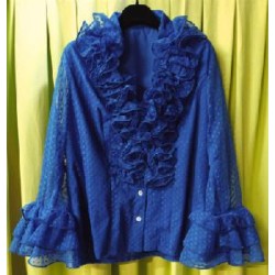 CAMISA MODELO CLAVEL PLUMETI AZULONA FORRADA 40