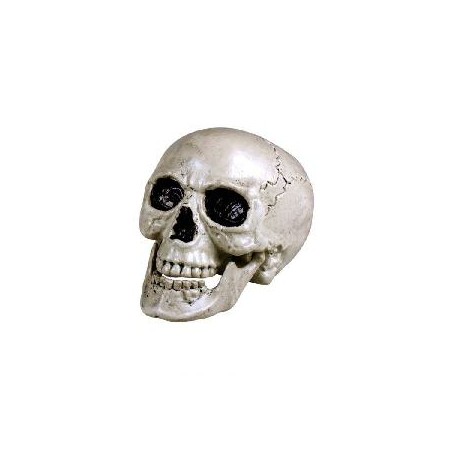 -CALAVERA TAMAÑO NATURAL- LUZ