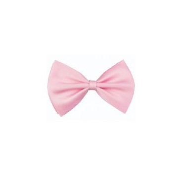 -PAJARITA ROSA