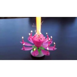 -FUENTE FLOR LOTO GUIRATORIA