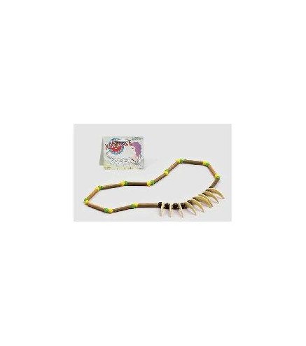 -COLLAR INDIO