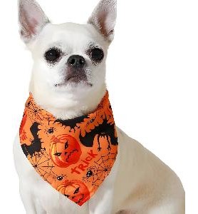 -PAÑUELO 60X45CM HALLOWEEN NARANJA