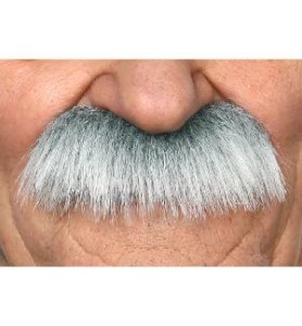-BIGOTE PELO CANOSO